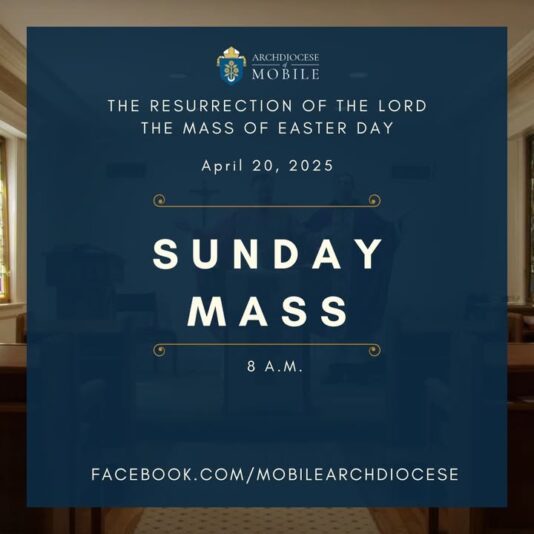 fb-1669188376658004_1279107640882229