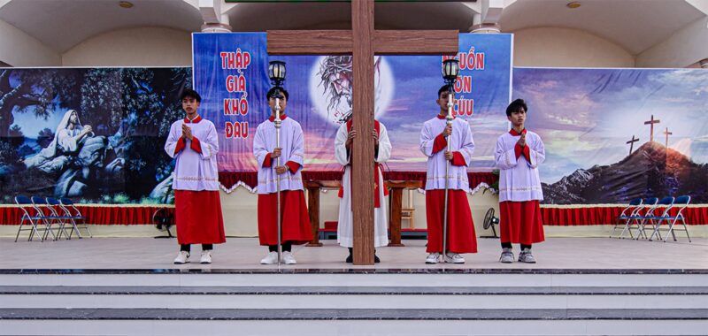 fb-422222558355253_1100502342120231