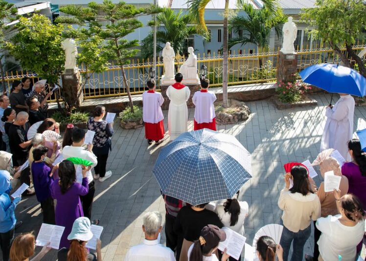 fb-422222558355253_1100493088787823