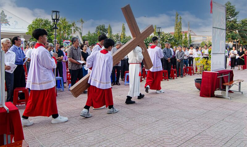 fb-422222558355253_1100502342120231