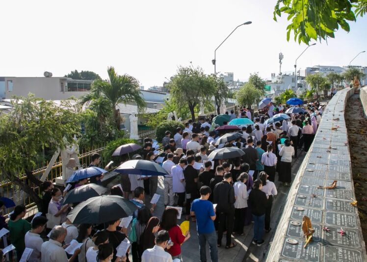 fb-422222558355253_1100493088787823