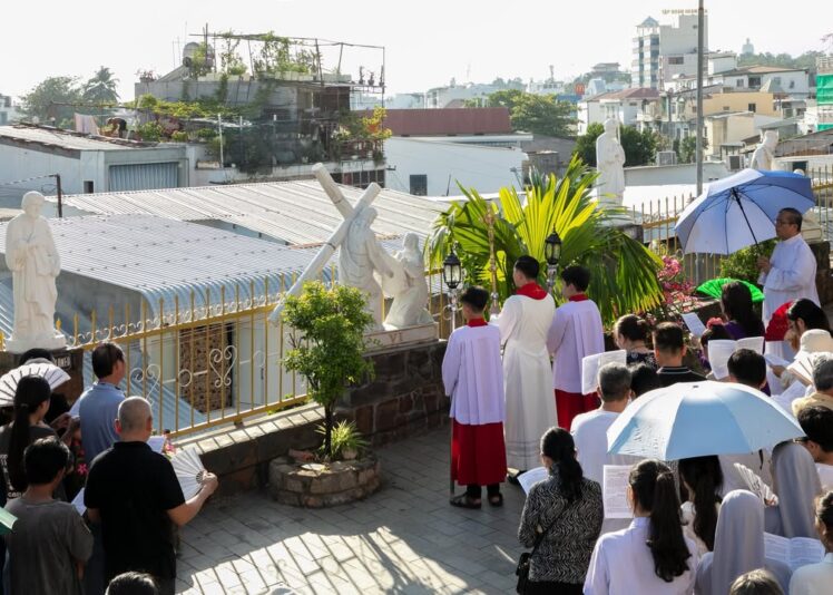 fb-422222558355253_1100493088787823