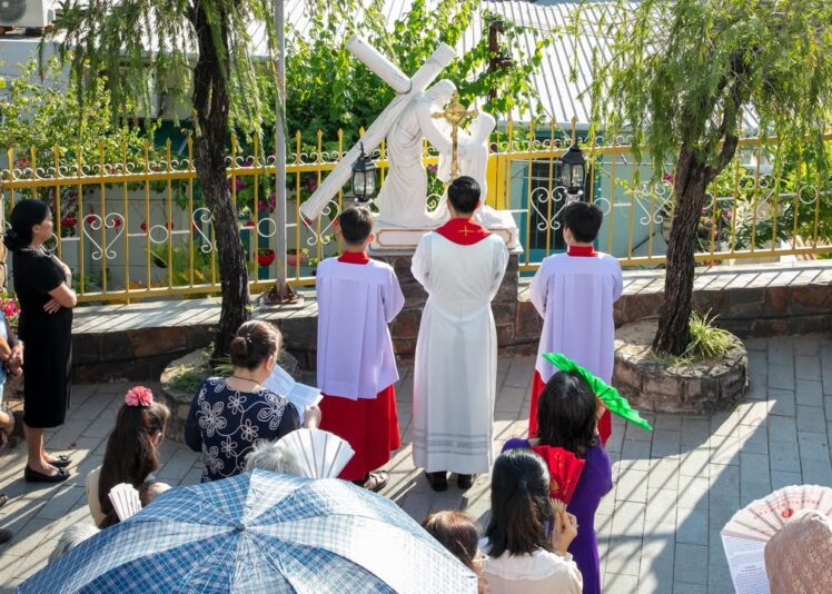 fb-422222558355253_1100493088787823