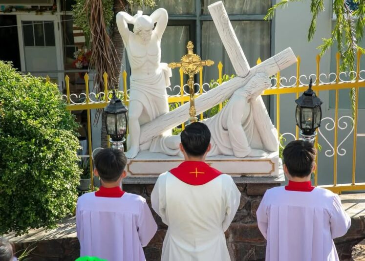 fb-422222558355253_1100078882162577