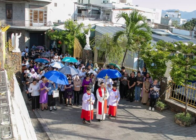 fb-422222558355253_1100078882162577