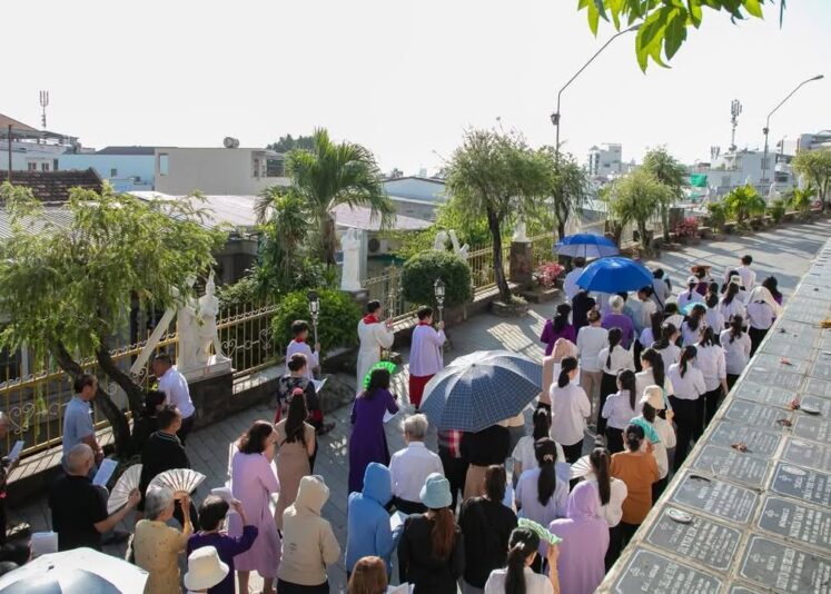 fb-422222558355253_1100078882162577