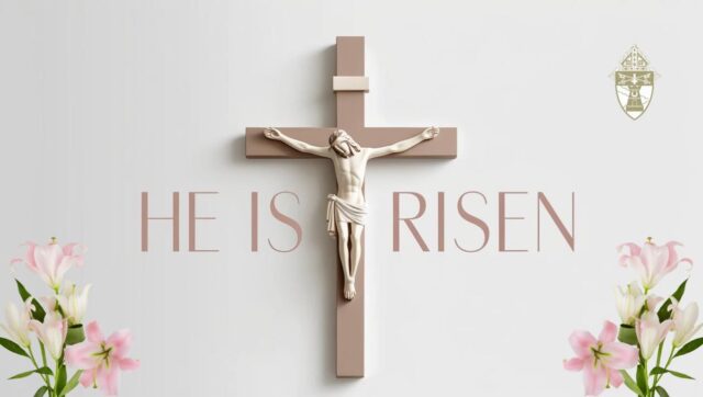 fb-149608895080801_2740234956180366