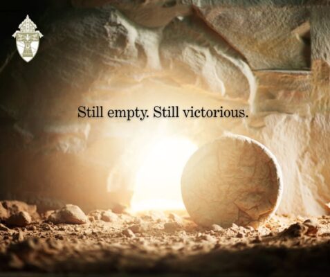 fb-149608895080801_1143075087859543