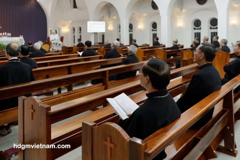 fb-356526171666570_985560006899860