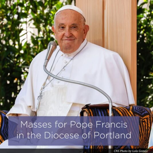 fb-116343758405910_1095893245901582