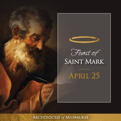 fb-355703527834405_1131668299003974